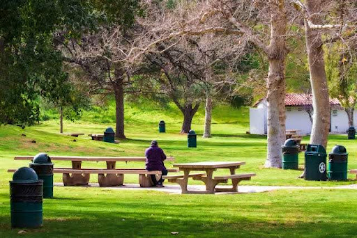 Picnic tables under mature trees in a quiet California park.